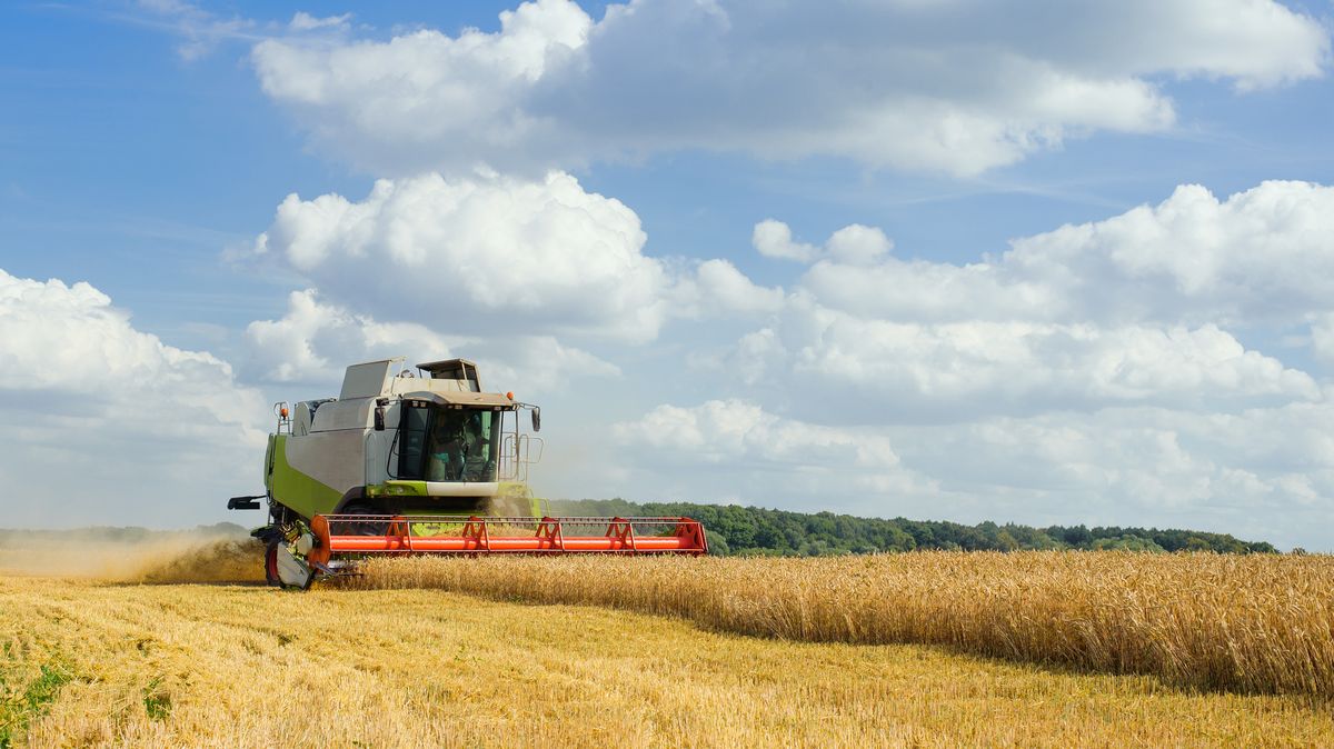 Zemědělstvím otřásá spor o dotace. Půdy i hospodářských zvířat přitom ubývá